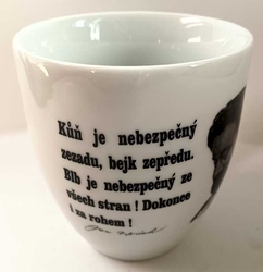 Porcelánový hrnek Harry s dekorem - citát Werich