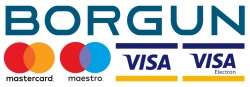 Platba kartami Borgun SecurePay